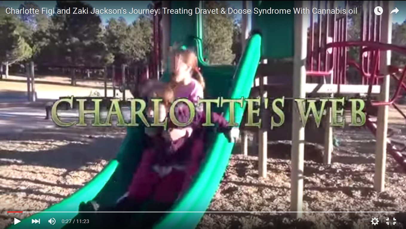 Charlotte's Web for Dravet's Syndrom
